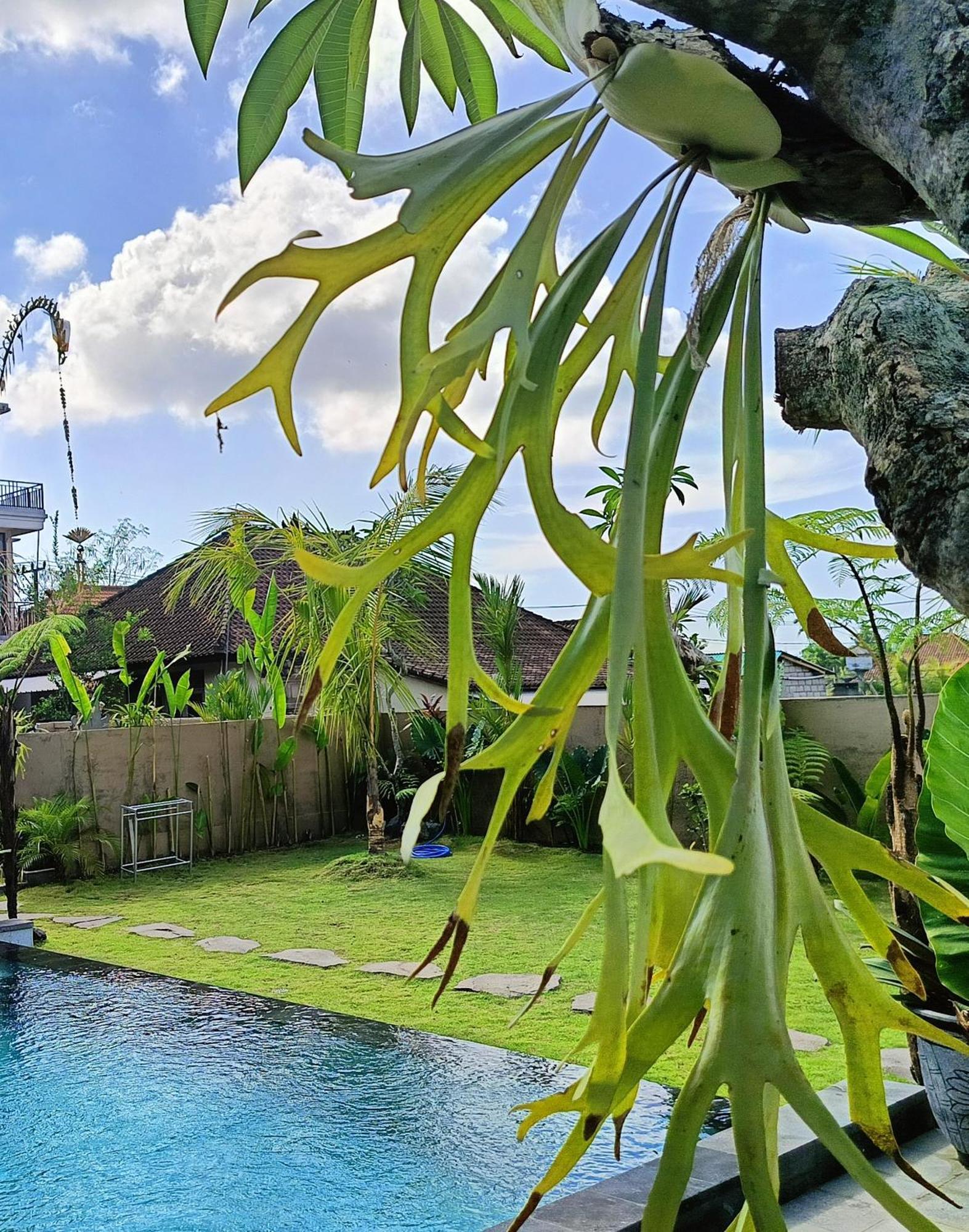 Pousada 2br Private Pool Kitchen Ubud